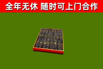 望城回收海参